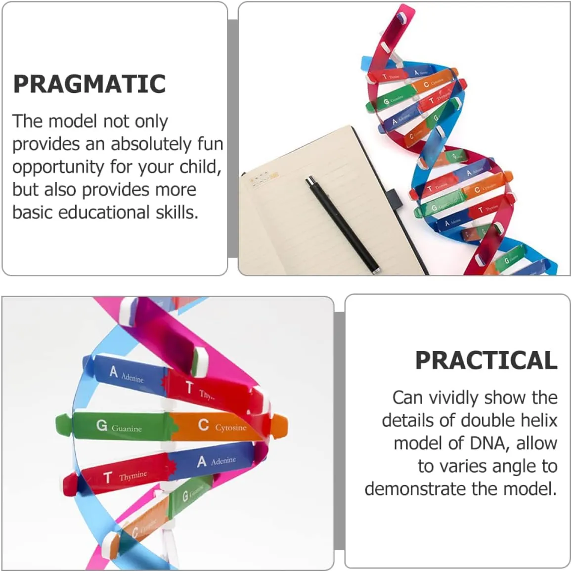 33cm Double Helix Science Teaching Aid? for Teachers Students Educators Classroom Use, breakup subway STEM Learning Tool DNA Model Kit 2Pcs: 