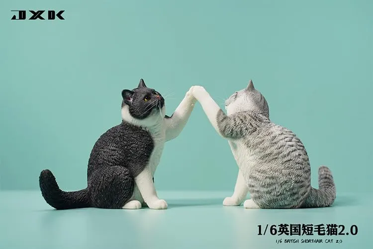 Animal Collector lovely available certitude Home Decoration Gift for Adult (JXK127D) 1:6 Scale British Shorthair 2.0 Figure Realistic Felidae Resin Cute Cat Model 