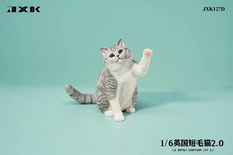 Animal Collector lovely available certitude Home Decoration Gift for Adult (JXK127D) 1:6 Scale British Shorthair 2.0 Figure Realistic Felidae Resin Cute Cat Model 