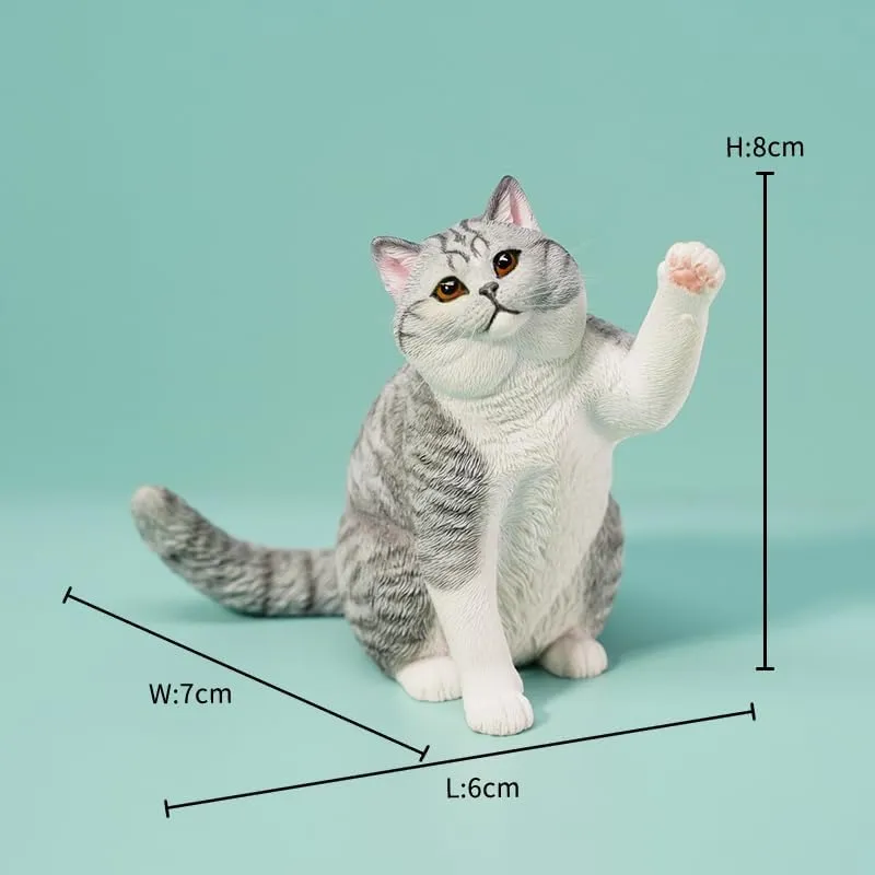 Animal Collector lovely available certitude Home Decoration Gift for Adult (JXK127D) 1:6 Scale British Shorthair 2.0 Figure Realistic Felidae Resin Cute Cat Model 