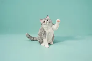 Animal Collector lovely available certitude Home Decoration Gift for Adult (JXK127D) 1:6 Scale British Shorthair 2.0 Figure Realistic Felidae Resin Cute Cat Model 