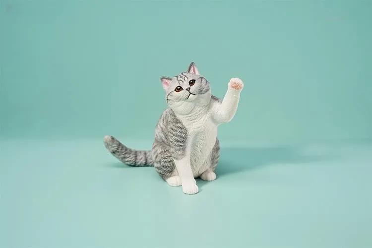 Animal Collector lovely available certitude Home Decoration Gift for Adult (JXK127D) 1:6 Scale British Shorthair 2.0 Figure Realistic Felidae Resin Cute Cat Model 