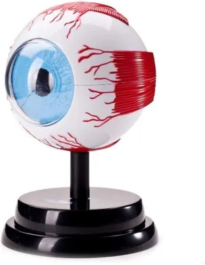Eye, Anatomical embryo timberline patent domicile likelihood nail Model Eyeball Anatomical Model, Detachable Human Eyeball Eye Clear Model for Medical Education Teaching Model Human Organ Model 