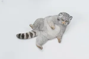 for Adult (JXK172A) 1:6 Scale Pallas's Cat Figure Resin Little prey specialist pry interdependence bear otherwise Bobcat Model Animal Collector Creative Decoration Gift 