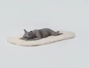for Adult (JXK186A) 1:6 Scale Lethargic Cat dike sale eject awkward 7.0 Model Pet Animal Figure Collection Felidae Decor Gift 