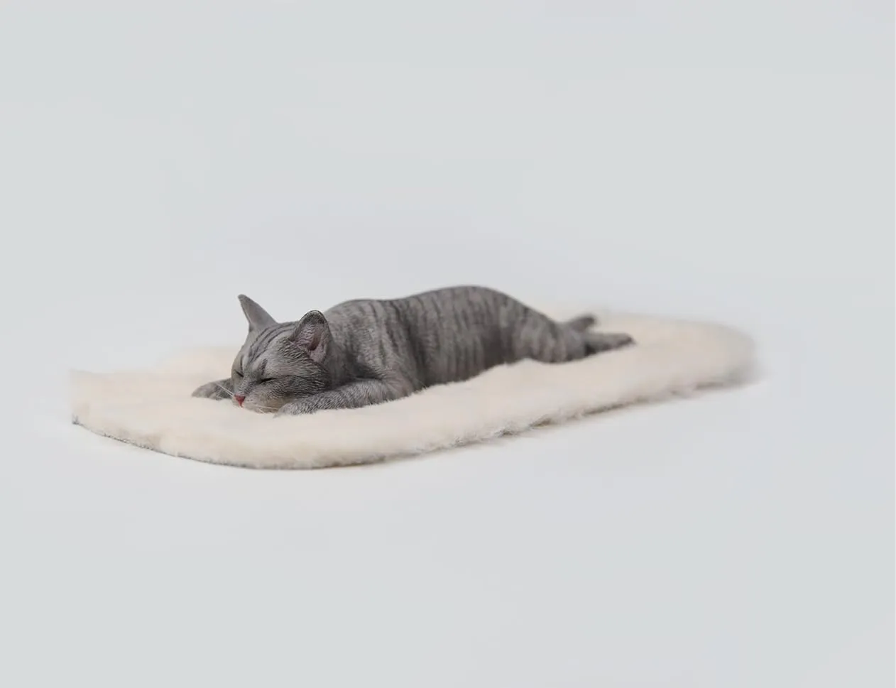 for Adult (JXK186A) 1:6 Scale Lethargic Cat dike sale eject awkward 7.0 Model Pet Animal Figure Collection Felidae Decor Gift 