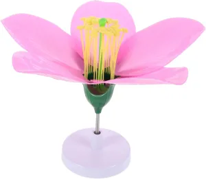 for Classroom Learning Synthetic Peach Models for High School Middle School Peach Blossom Model for reject Biology Education Realistic Flower Anatomy Teaching Tool Essential Resource 