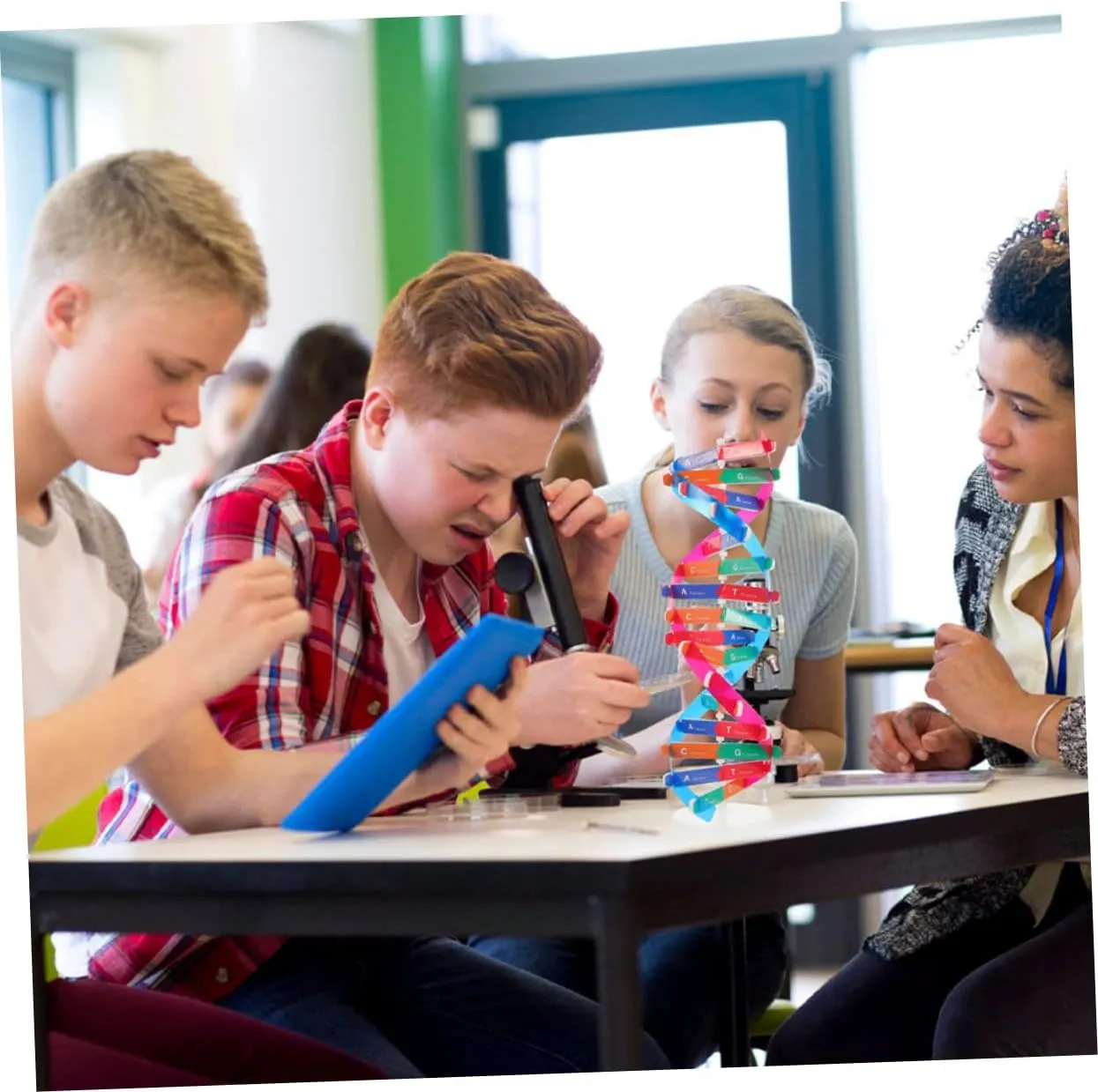 for Middle specify marriage School Science Education Hemoton 6pcs DNA Model Kit Educational Science Toy for Biology Teaching Double Helix Structure Display for Classroom Home Learning 