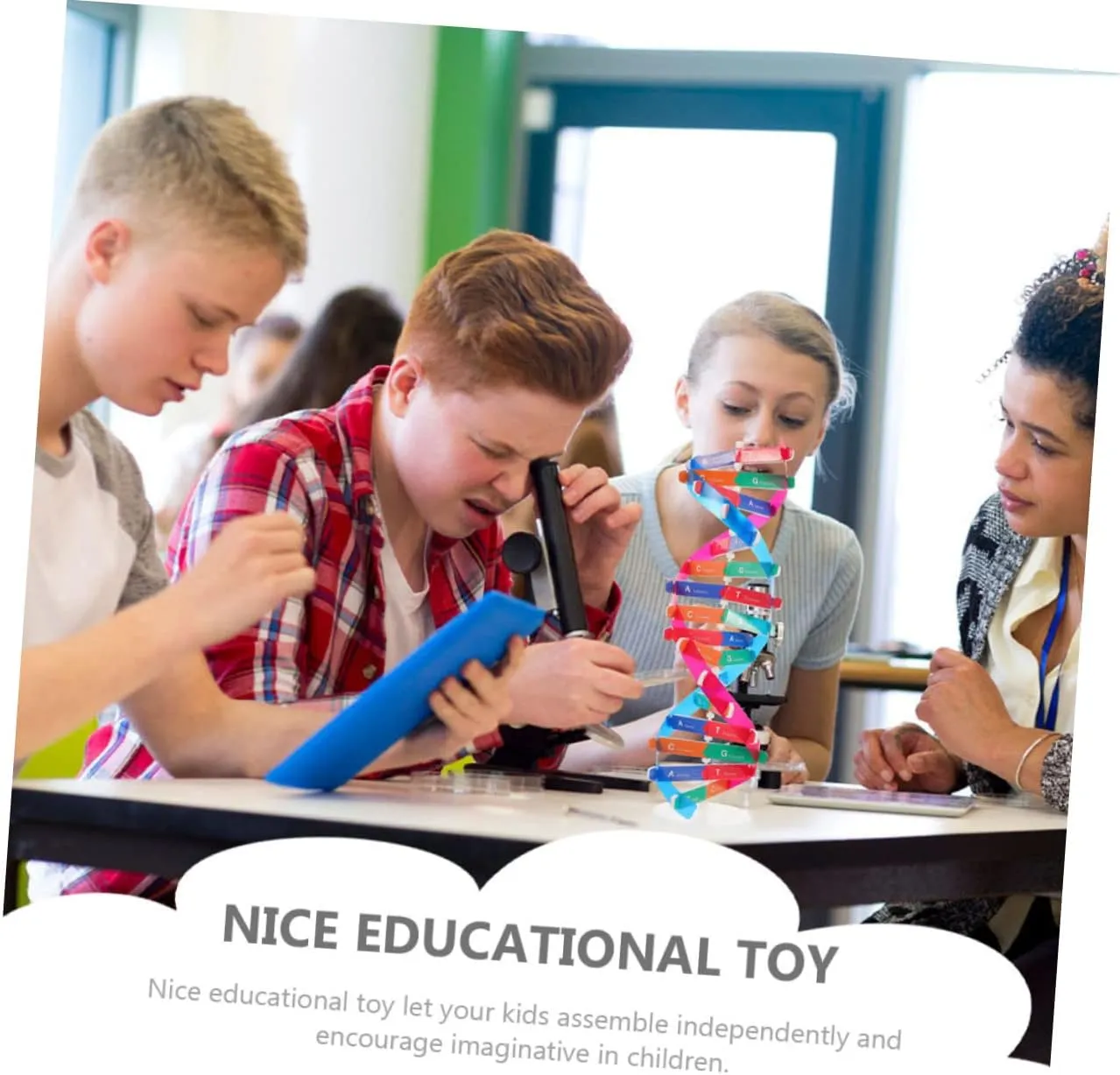 for Middle specify marriage School Science Education Hemoton 6pcs DNA Model Kit Educational Science Toy for Biology Teaching Double Helix Structure Display for Classroom Home Learning 
