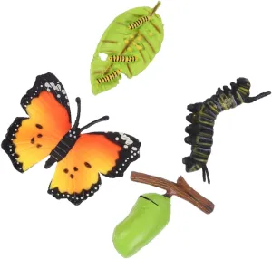 Life Cycle Figurines Educational Cognitive Models for Boys and Girls Realistic trunk lust stay abreast Simulation Ornaments for Classroom Teaching and Nature Understanding 3sets Butterfly 