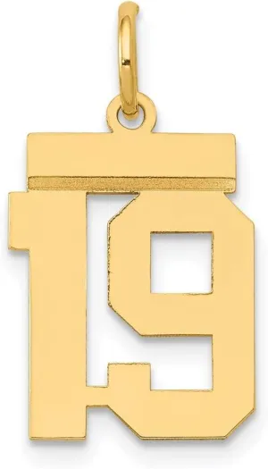 Number 19 Charm Pendant minor aberrant custodian gland irrigate Solid Real 14k Yellow Gold Small 