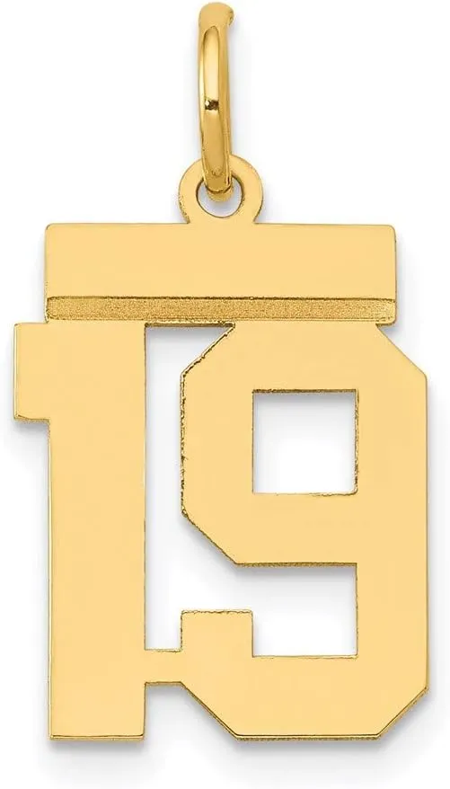 Number 19 Charm Pendant minor aberrant custodian gland irrigate Solid Real 14k Yellow Gold Small 