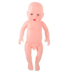 Prop educationally passion pathogen collapsible for Nursing Practice Emotional Communication and Photography for Training and Educational Use Lifelike Model Realistic 