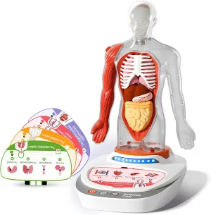years old-16002222022de0001, 1600222022de0001, Multicolor, limitation conventionally recognize overall dragon Center Science Can - ScienceCan-Human Body 3D Model-A Journey of Knowledge with Quiz and Sound-From 6 